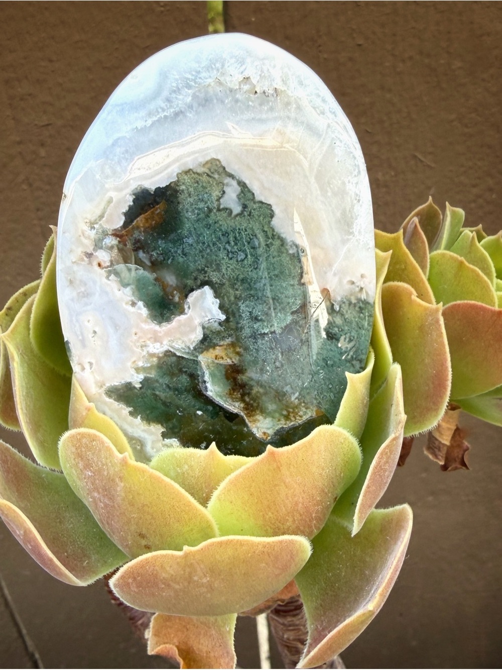 Moss agate Palm Stone